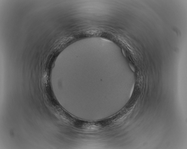 X0000110990597200907101432