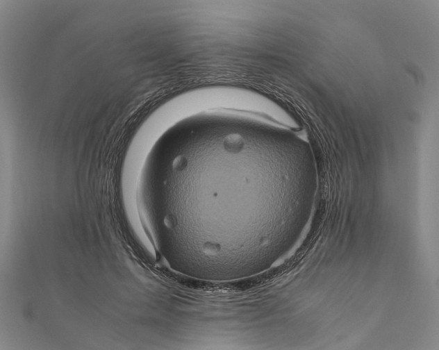 X0000110990599200907101432