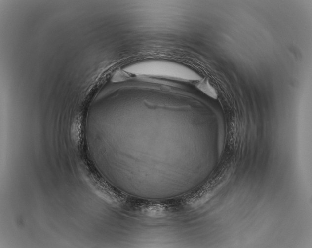 X0000110990600200907101432