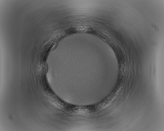 X0000110990601200907101432