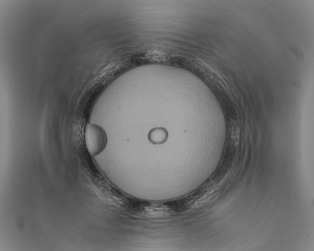 X0000110990603200907101432