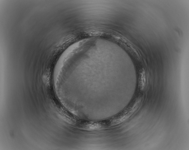 X0000110990604200907101432