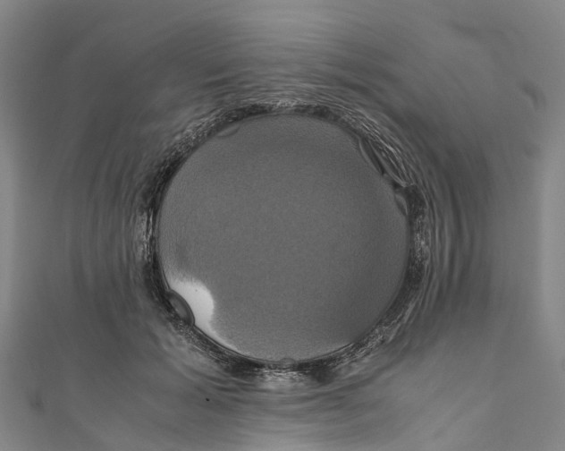 X0000110990605200907101432