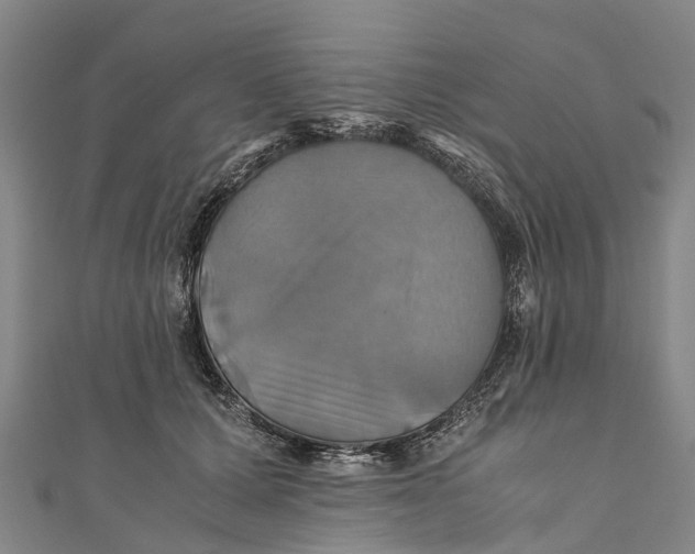 X0000110990607200907101432