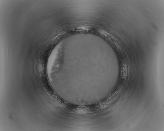 X0000110990608200907101432