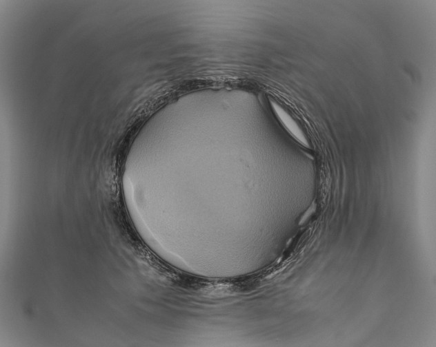 X0000110990609200907101432