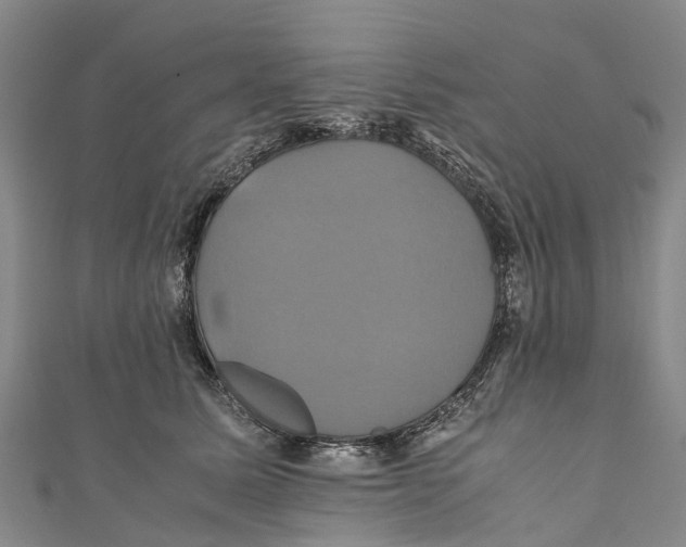 X0000110990611200907101432
