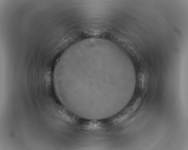 X0000110990612200907101432