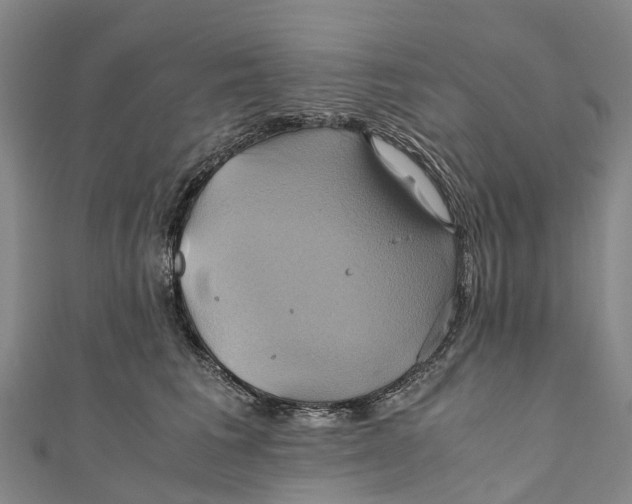 X0000110990613200907101432