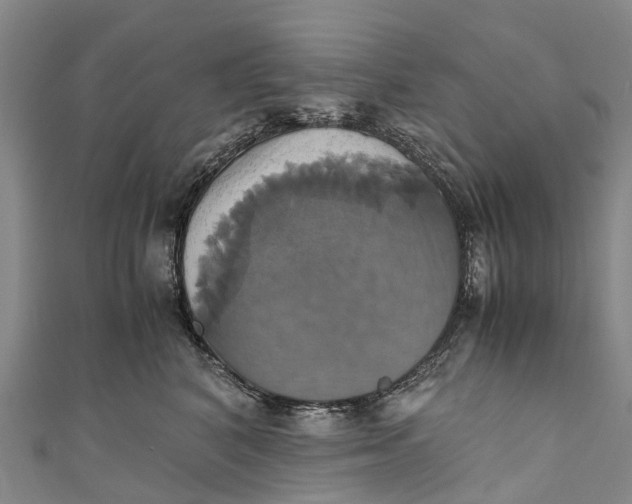 X0000110990616200907101432