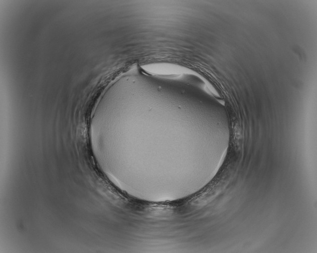 X0000110990617200907101432