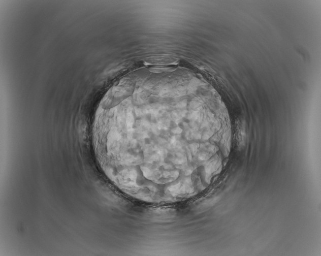 X0000110990619200907101432