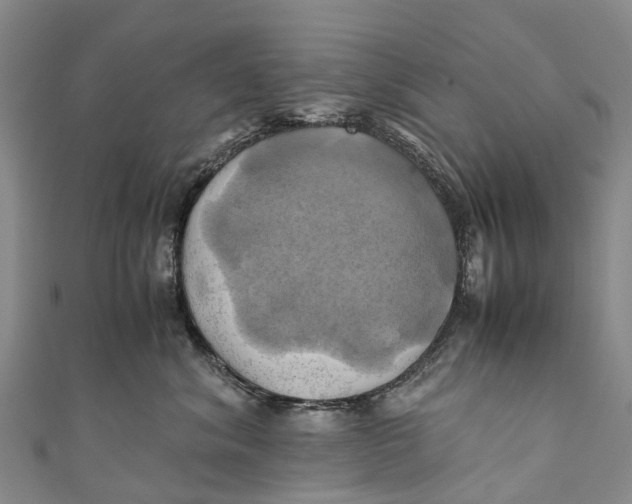 X0000110990620200907101432