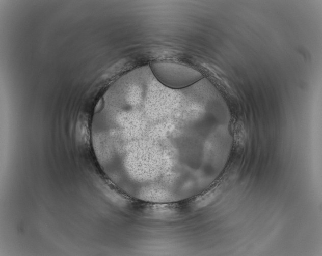X0000110990622200907101432