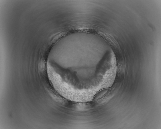 X0000110990623200907101432