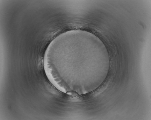 X0000110990624200907101432