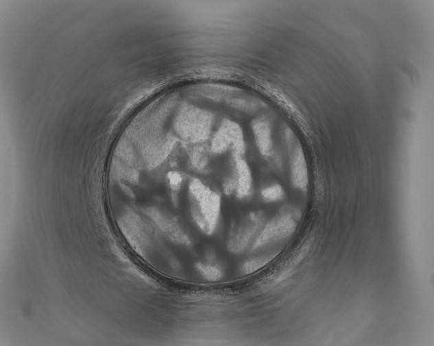 X0000110990625200907101431