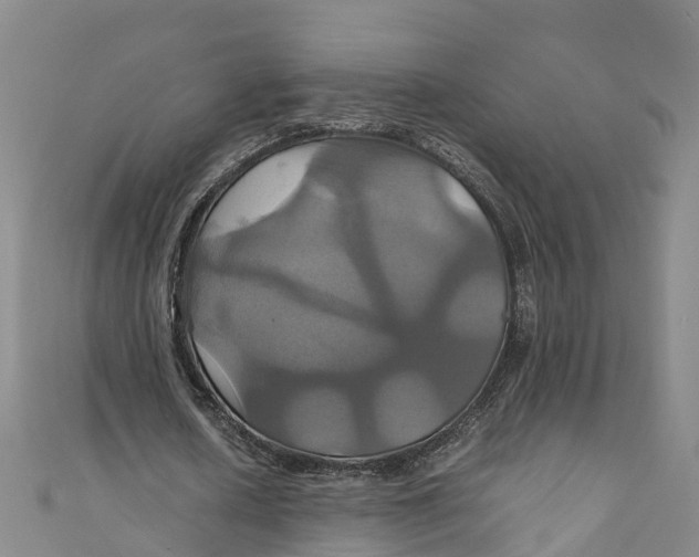 X0000110990626200907101431