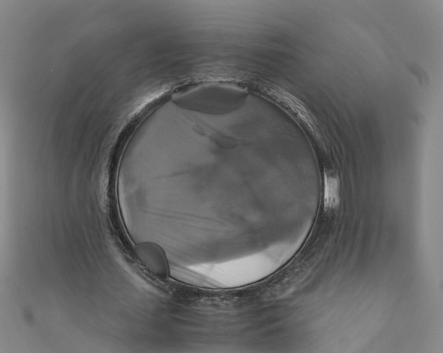 X0000110990627200907101431