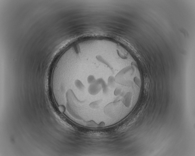 X0000110990629200907101431