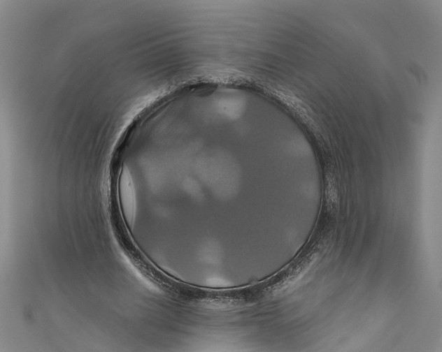 X0000110990630200907101431