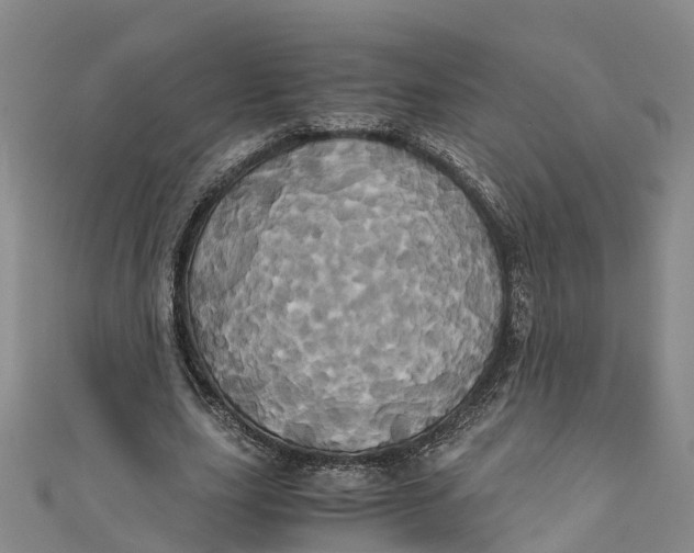 X0000110990631200907101431