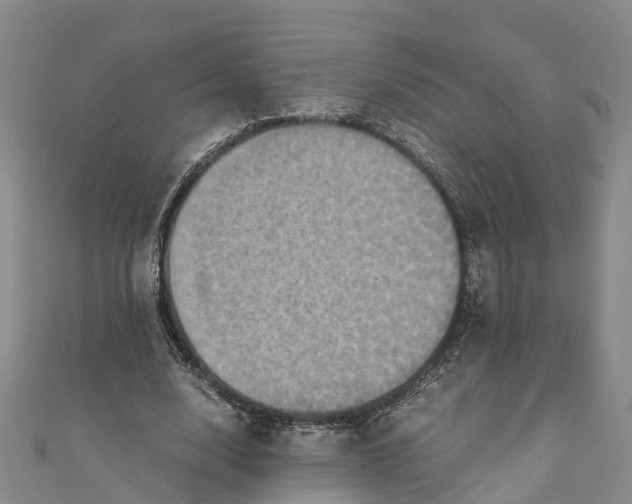 X0000110990632200907101431