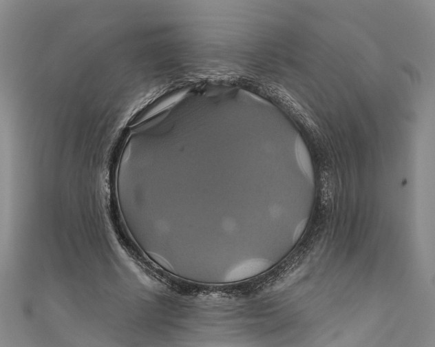 X0000110990634200907101431