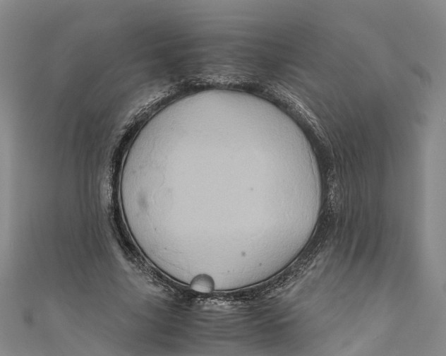 X0000110990635200907101431