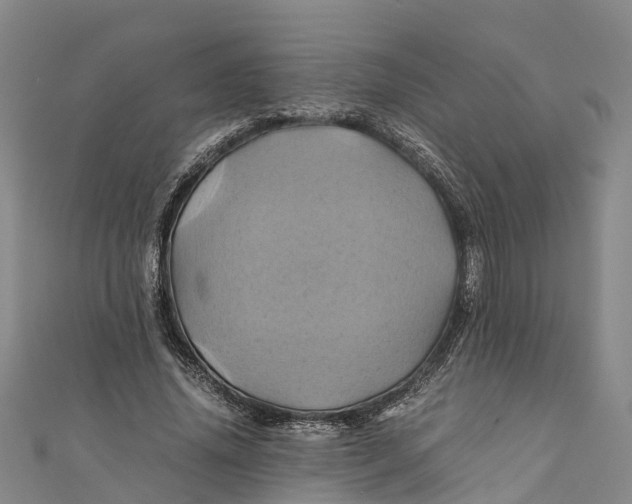 X0000110990636200907101431