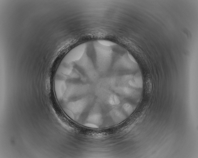 X0000110990638200907101431