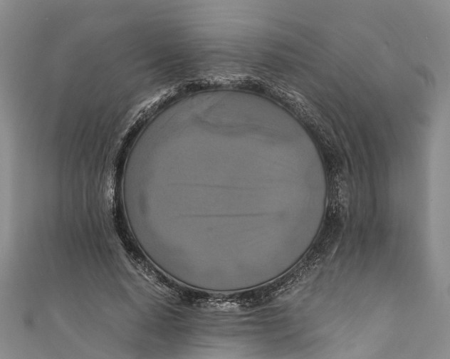 X0000110990640200907101431