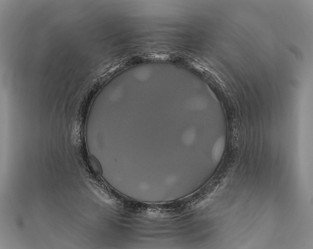 X0000110990641200907101431