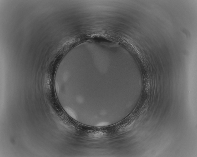 X0000110990643200907101431