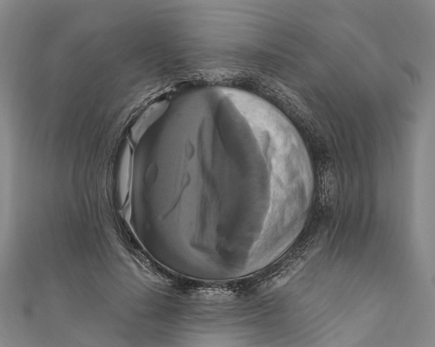X0000110990644200907101431