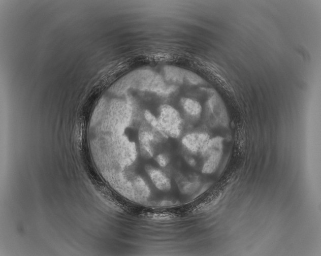 X0000110990645200907101431