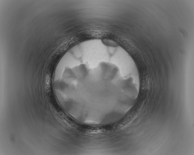 X0000110990646200907101431