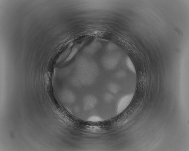 X0000110990649200907101431
