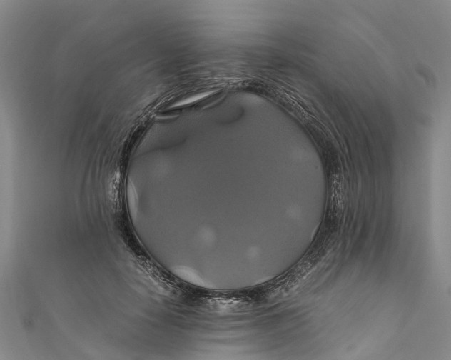 X0000110990650200907101431