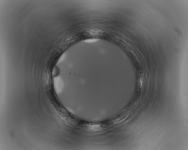 X0000110990651200907101431