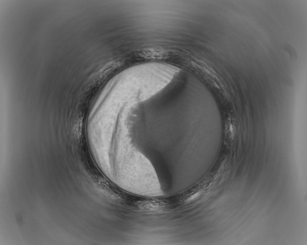 X0000110990652200907101431