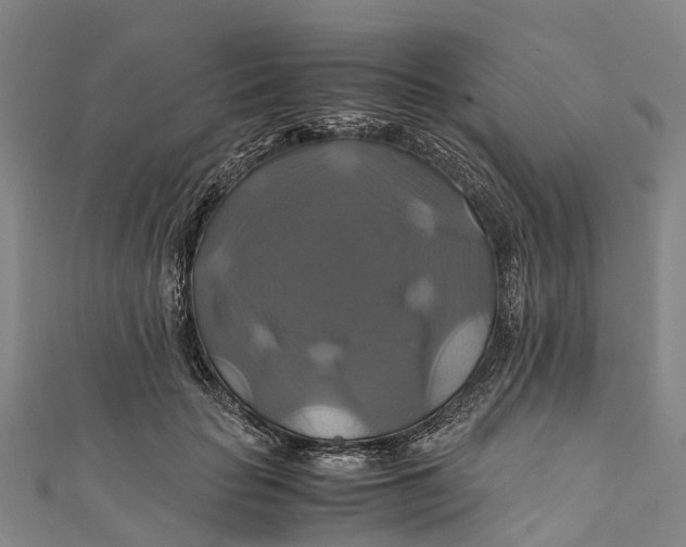 X0000110990653200907101431