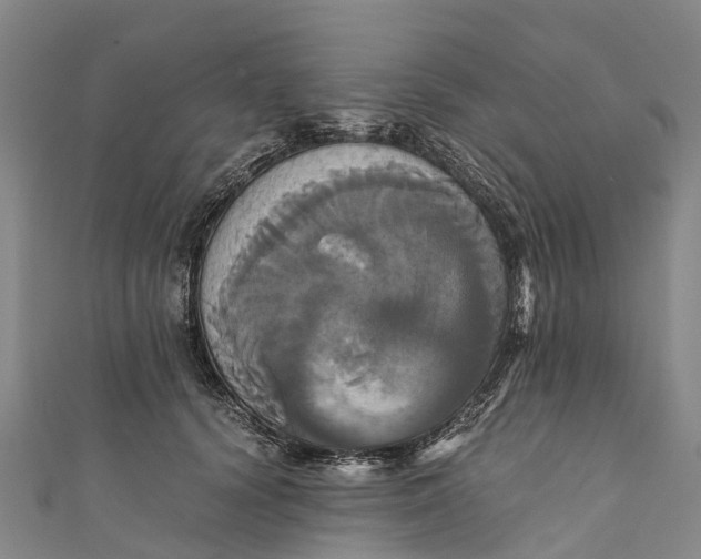 X0000110990656200907101431
