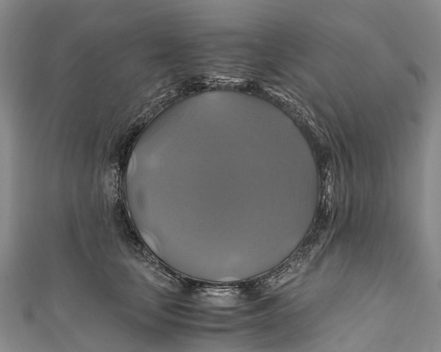 X0000110990659200907101432