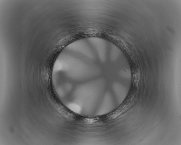 X0000110990662200907101432