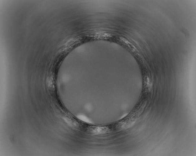 X0000110990663200907101432