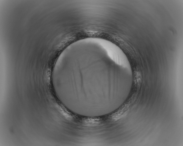 X0000110990664200907101432