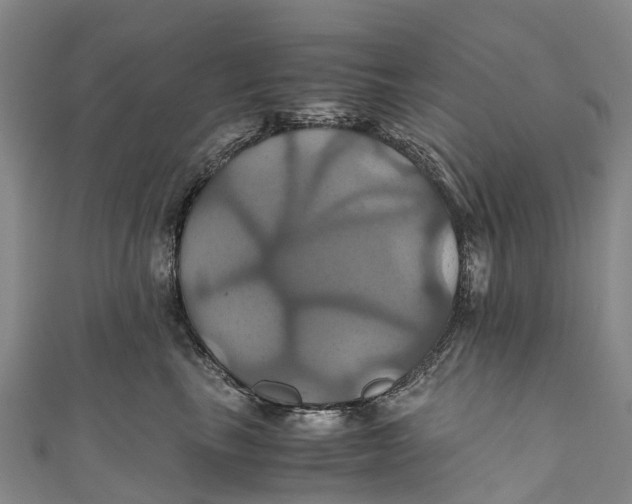 X0000110990665200907101432