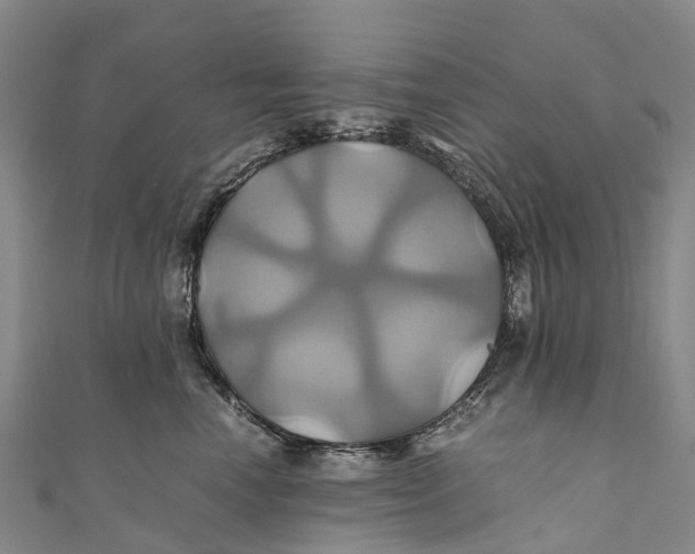 X0000110990666200907101432