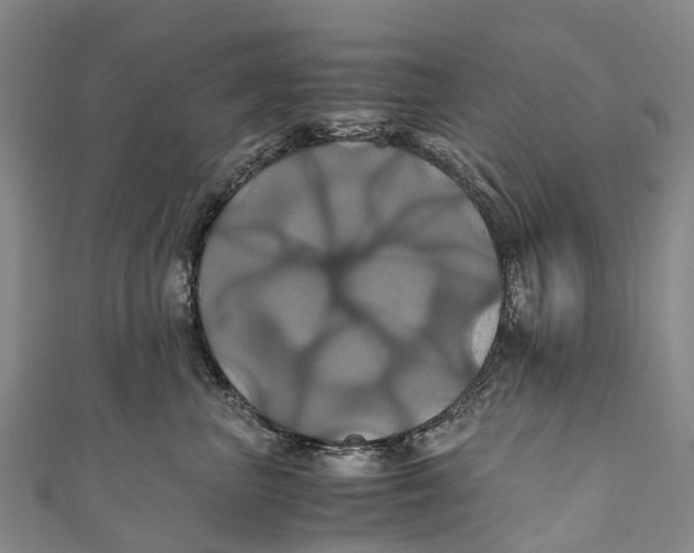 X0000110990667200907101432